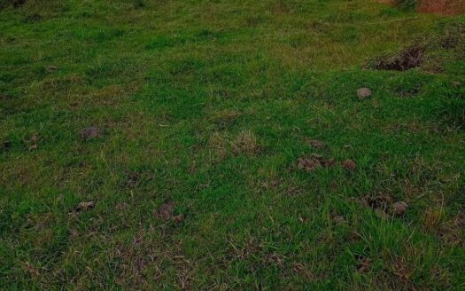 El Peñol La Honda 2.5-Acre Development Lot – MLS 252944