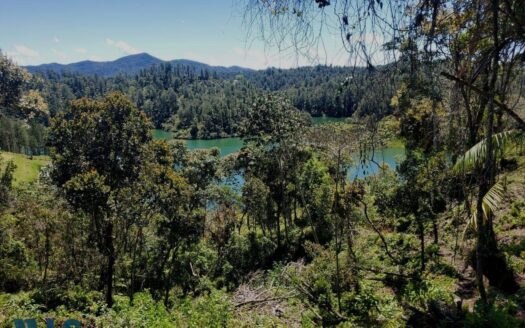 El Peñol Vereda Marial Waterfront Lot – MLS 246278