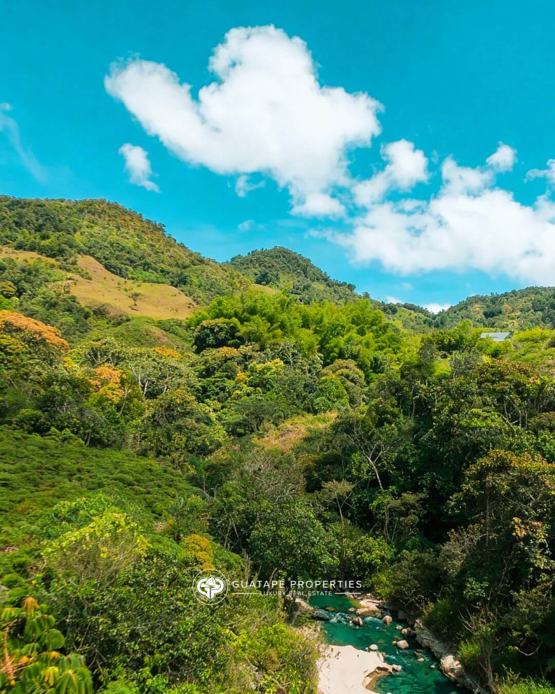 Vereda La Sonadora — Panorama