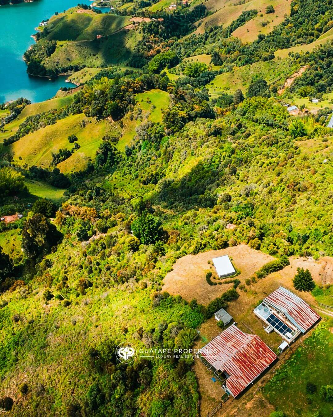 Vereda La Sonadora — Vegetation